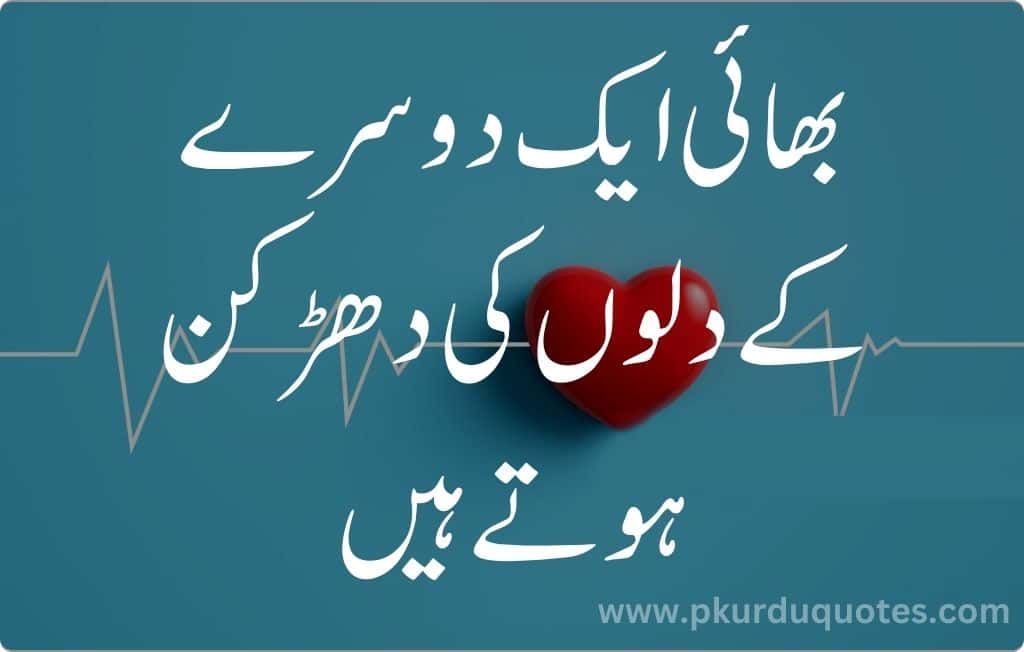 brother quotes in urdu