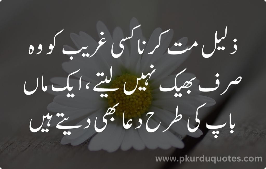inspirational quotes in urdu