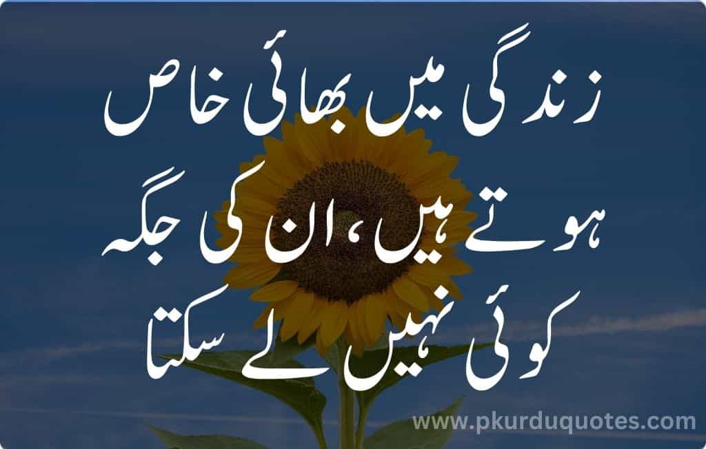 brother quotes in urdu
