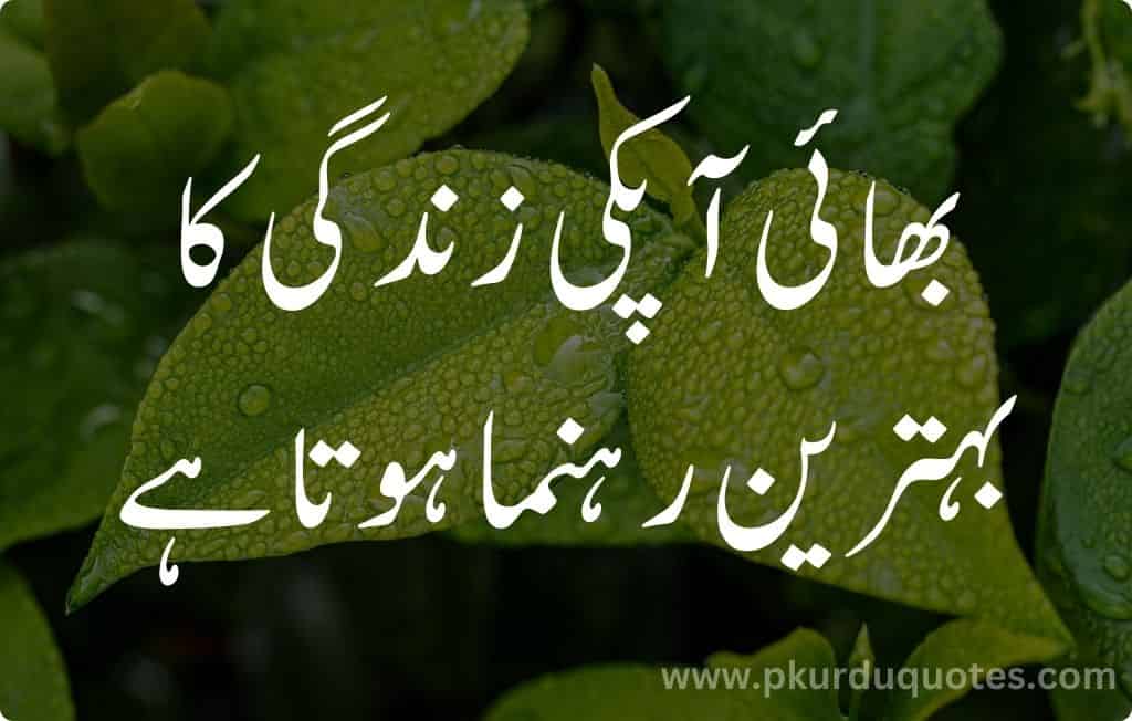 brother and sister quotes in urdu