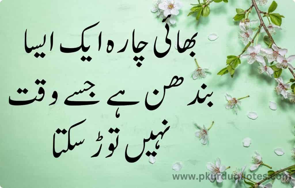 brother and sister quotes in urdu
